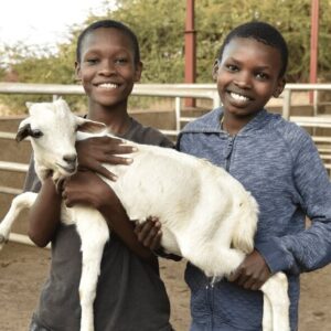 Two smiling young people holding a white goat in a farm pen