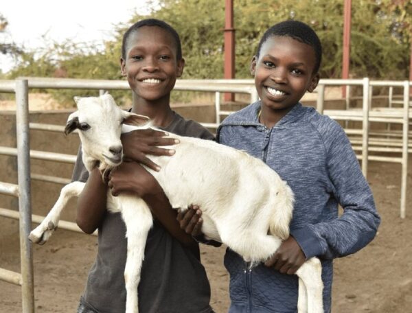 Two smiling young people holding a white goat in a farm pen